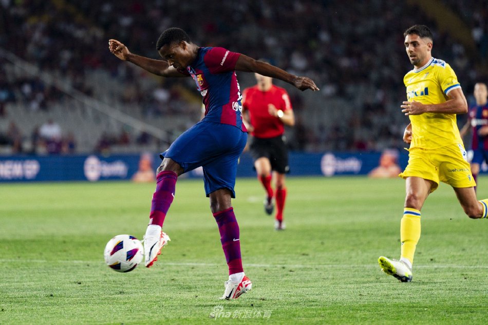 这不仅影响 这不仅影响