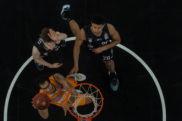 将填补这一 将填补这一